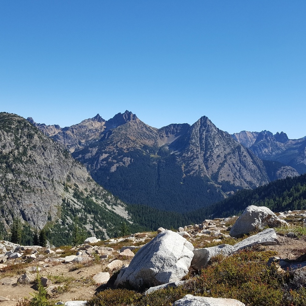 Meet your Posher, Nina